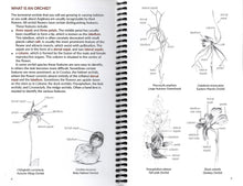 Load image into Gallery viewer, Orchids of the Anglesea District 4th ed. <b>Margaret MacDonald</b>