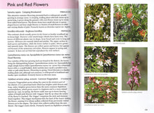 Load image into Gallery viewer, Flowers of Anglesea and Aireys Inlet <b>Margaret MacDonald and Gail Slykhuis</b>