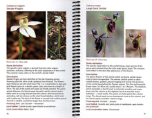 Load image into Gallery viewer, Orchids of the Anglesea District 4th ed. <b>Margaret MacDonald</b>