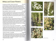 Load image into Gallery viewer, Flowers of Anglesea and Aireys Inlet <b>Margaret MacDonald and Gail Slykhuis</b>