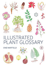 Load image into Gallery viewer, Illustrated Plant Glossary <b>Enid Mayfield</b>