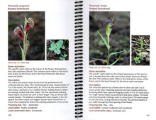 Load image into Gallery viewer, Orchids of the Anglesea District 4th ed. <b>Margaret MacDonald</b>