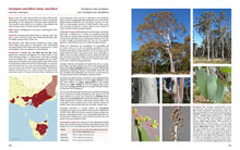 Load image into Gallery viewer, Native Eucalypts of Victoria and Tasmania, South-eastern Australia <b>Dean Nicolle</b>