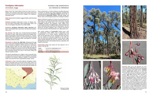 Native Eucalypts of Victoria and Tasmania, South-eastern Australia <b>Dean Nicolle</b>