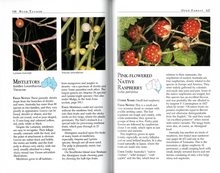Load image into Gallery viewer, Wild Food Plants of Australia <b>Tim Low</b>