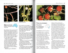 Load image into Gallery viewer, Wild Food Plants of Australia &lt;b&gt;Tim Low&lt;/b&gt;
