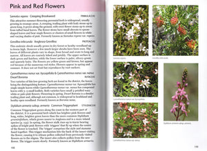 Flowers of Anglesea and Aireys Inlet <b>Margaret MacDonald and Gail Slykhuis</b>