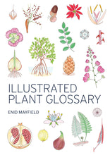 Load image into Gallery viewer, Illustrated Plant Glossary &lt;b&gt;Enid Mayfield&lt;/b&gt;
