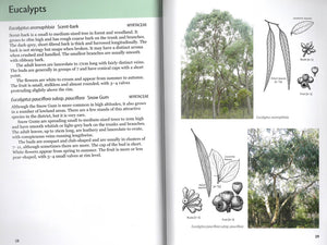 Flowers of Anglesea and Aireys Inlet <b>Margaret MacDonald and Gail Slykhuis</b>