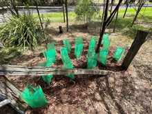 Load image into Gallery viewer, Plastic Plant Guard with 3 Bamboo stakes
