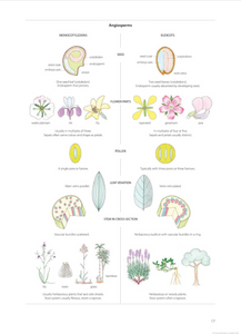 Illustrated Plant Glossary <b>Enid Mayfield</b>